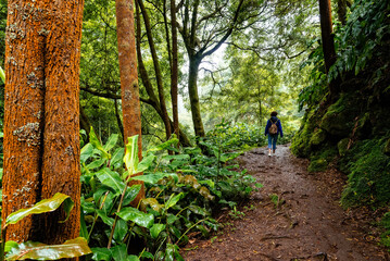 Woman hiking in the Natural Park of Ribeira dos Caldeiroes in Azores in a tropical landscape - 784634302
