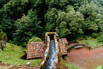 Parque Natural da Ribeira dos Caldeiroes in Sao Miguel Island, Azores - 784634334