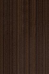 Abstract textured background with fine details	