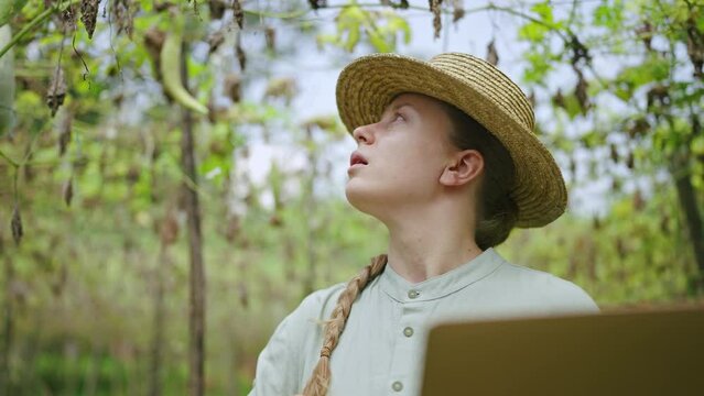 Female agronomist with laptop examines vegetable harvest on farm. Young woman farmer checking green bottle gouds enters the data into computer. Modern agribusiness concept. Harvest loss.