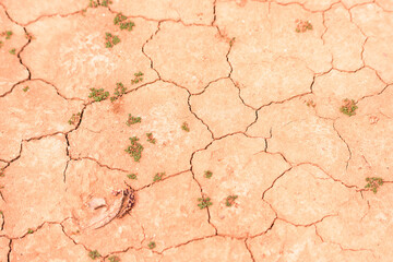 Background texture of mud floor with cracks due to lack of water. Climate change concept