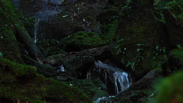 白谷雲水峡の小川