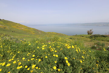 Lake Kinneret. The lake's coastline is the lowest landmass on Earth