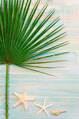 Fototapeta na wymiar Summer concept with vertical composition of palm leaf with two starfish and conch on turquoise stripped wood background