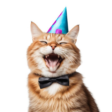 A cat wearing a blue party hat and a black bow tie is laughing with its eyes closed.