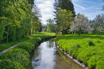 Frühling in Ettenheim in der Ortenau
