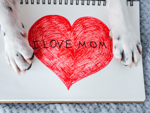 Dog paws and a card with words of love for Mom. View from above. Close-up, indoors. Congratulations for family, loved ones, friends and colleagues. Pet care concept