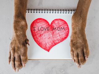 Dog paws and a card with words of love for Mom. View from above. Close-up, indoors. Congratulations for family, loved ones, friends and colleagues. Pet care concept