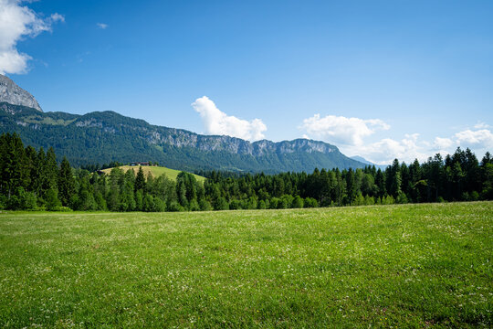 Gr&uuml;ne Almen und Wiesen in der N&auml;he des Wilden Kaiser Hochgebirges im Fr&uuml;hsommer.