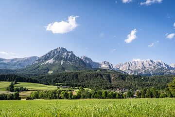 Österreiche Alpen in Tirol - das Hochgebirge des Wilden Kaisers mit grünen Wiesen und Feldern im Vordergrund. - obrazy, fototapety, plakaty