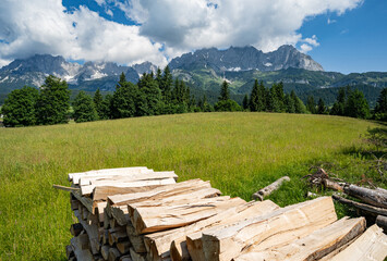 Geschichtetes Brennholz auf einer Freifläche mit den österreichischen Alpen im Hintergrund.