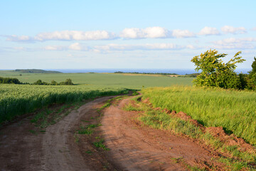a dirt road with a green field and chain of clouds in the sky 