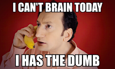 Internet pop culture meme: a funny ugly perplexed man talking on a banana phone, with the caption I can't brain today, I has the dumb (intentional misspelling).
