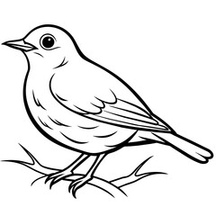 Robin bird in nest, on white background logo icon vector illustration