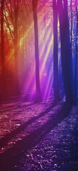 Enchanted Forest Magic Wallpaper., Amazing and simple wallpaper, for mobile