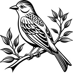    Bird on a branch vector illustration.
