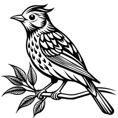     Bird on a branch vector illustration.
