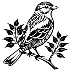     Bird on a branch vector illustration.
