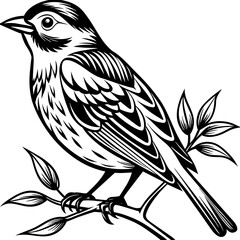     Bird on a branch vector illustration.
