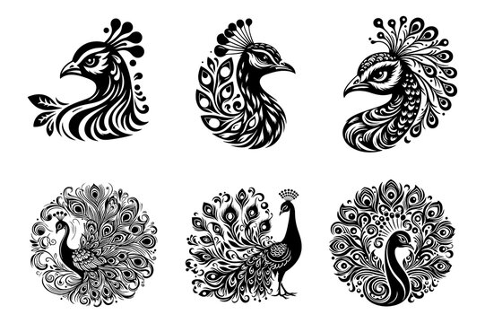 peacock bird silhouette style line art illustration  isolated on transparent background - Generative AI