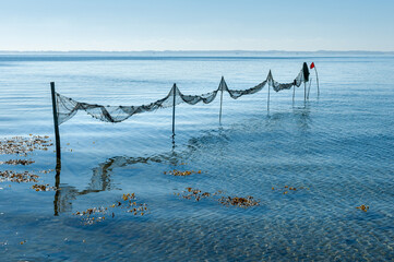 A fish net stretches across calm waters under a cloudless sky, marked by a buoy.