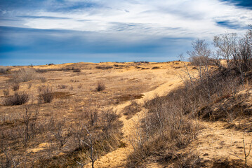 sand dunes in the desert