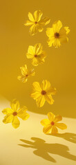 Sunny Yellow Floating Flowers Wallpaper, Amazing and simple wallpaper, for mobile