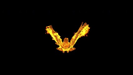 Fiery, burning bird on a transparent background with an alpha channel.
