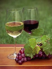 One glass of white wine and red wine