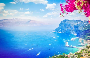 Selbstklebende Fototapeten Marina Grande habour with cloudy sky with flowers, Capri island, Italy © neirfy