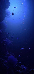 Fototapeta premium Underwater Dreamy Swimming Scene, Amazing and simple wallpaper, for mobile