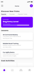 Fototapeta na wymiar Canine Coaching and Academy UI Kit, Dog and Puppy Training , Tricks and Pet Learning Pathway App Template