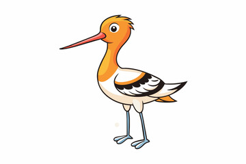 Fototapeta premium avocet bird vector illustration