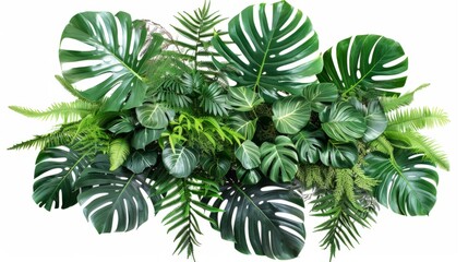 Green leaves of tropical plant bushes on white background, generative ai