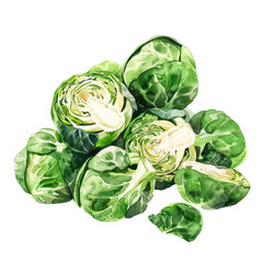 Fototapeta premium vegetable - Brussels sprouts are commonly roasted, steamed, boiled, or sautéed, and they can be seasoned with various herbs, spices, and sauces to enhance their flavor.