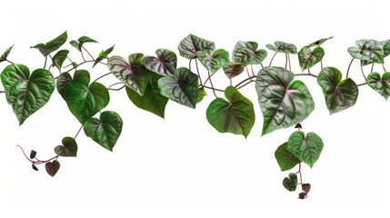 Hanging tropical jungle with heart-shaped green leaves, white background generative ai