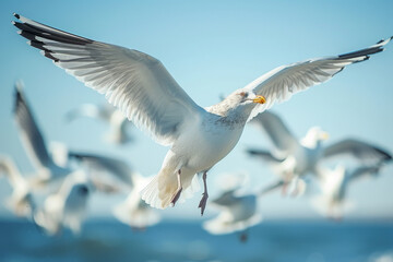 Majestic Seagull Soaring over Coastal Waters with Flock in Background - obrazy, fototapety, plakaty