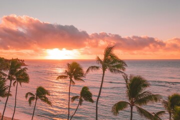 atardecer, la palma, playa, árbol, cielo, tropical, mar, amanecer, silueta, oceáno