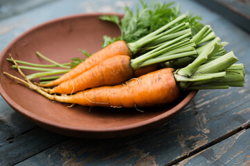 Young juicy carrot with green leaves