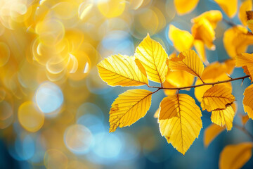 Golden Autumn Leaves Against a Dreamy Blue Bokeh Background