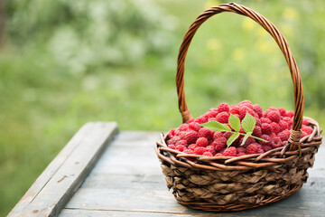 A wicker basket full of ripe raspberries