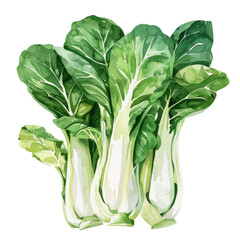 vegetable - Overall, bok choy is a nutritious and flavorful vegetable that adds both taste and texture to a variety of dishes, particularly in Asian cuisine. - obrazy, fototapety, plakaty