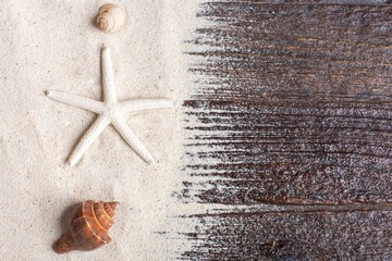 sea-shells-with-sand-as-background-copyspace-summer-concept_2