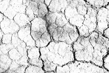 Texture soil dry crack background pattern of drought lack of water of nature white black old broken.