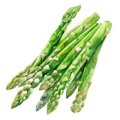 vegetable -  while white asparagus is grown underground to prevent exposure to sunlight, resulting in a milder flavor and more tender texture.