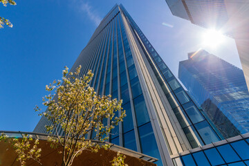 A towering modern skyscraper reaches into the clear blue sky on a sunny day. The view from below of...