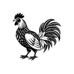 Animal silhouette6Bird Animal silhouette, white background