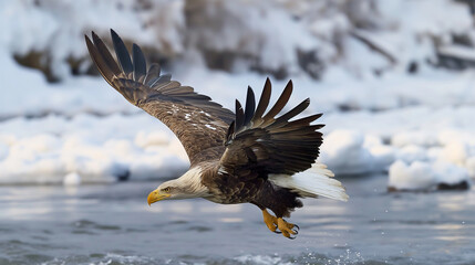 Birds of Prey Soar in the Sky: Eagle and Hawk in Flight