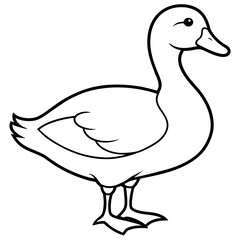 illustration of a duck