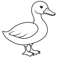 duck isolated